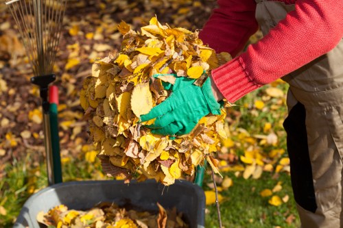 A variety of skip hire services offered by Skip Hire Aldgate